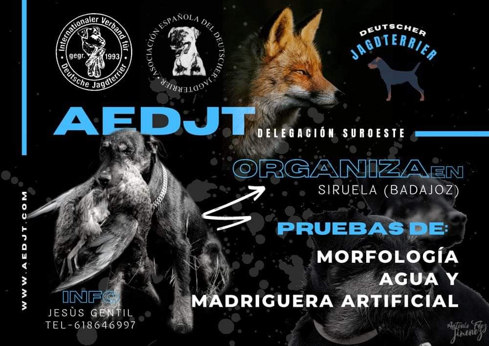 AEDJT