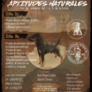 PRUEBAS DE APTITUDES NATURALES. Oct 22