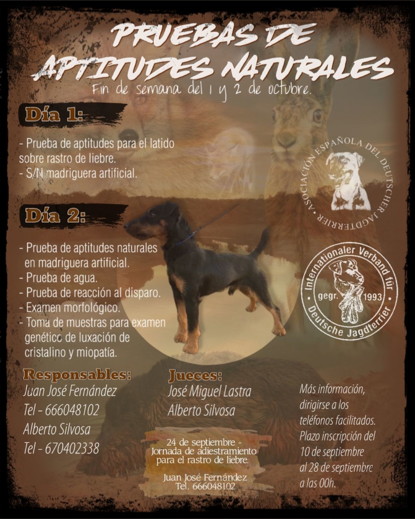 PRUEBAS DE APTITUDES NATURALES. Oct 22