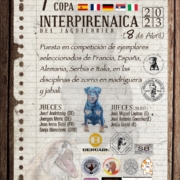 Cartel 7ª Copa Interpirenaica