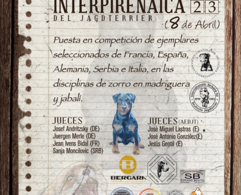 Cartel 7ª Copa Interpirenaica