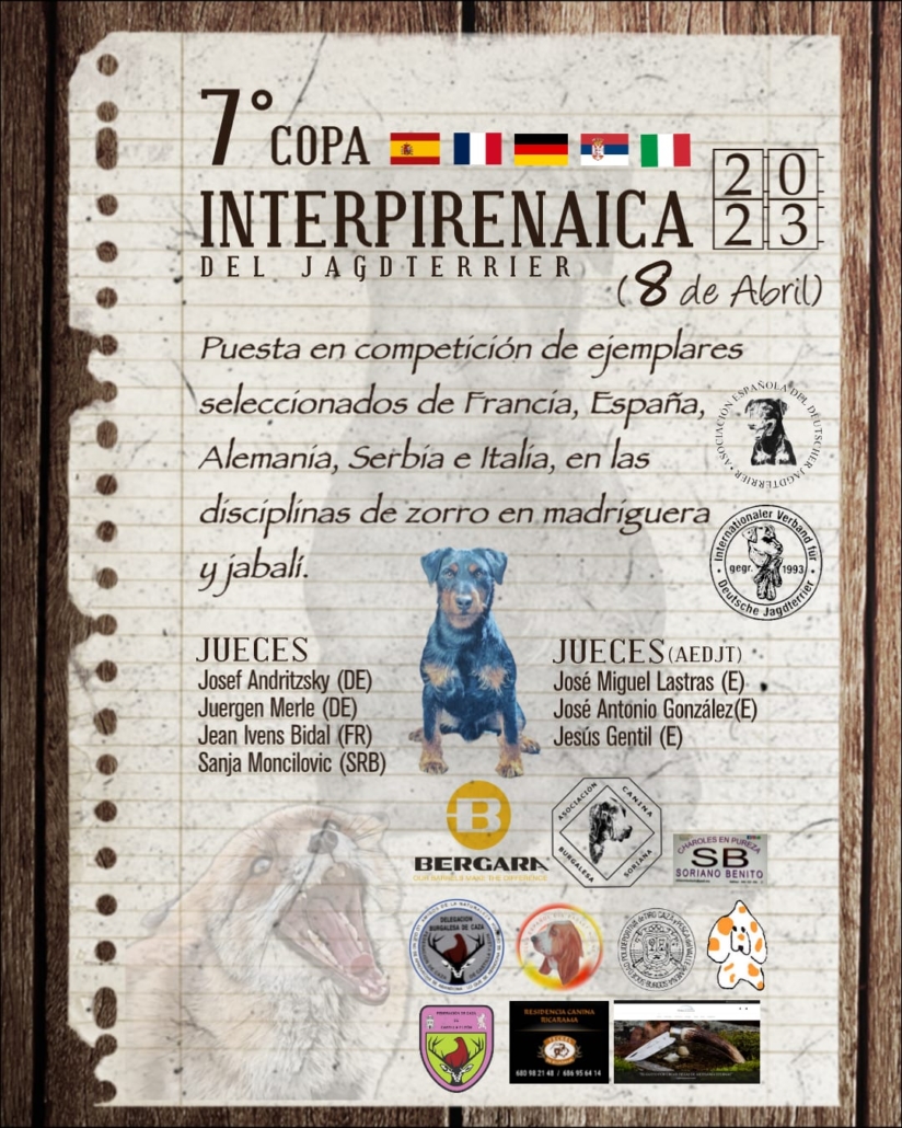 Cartel 7ª Copa Interpirenaica