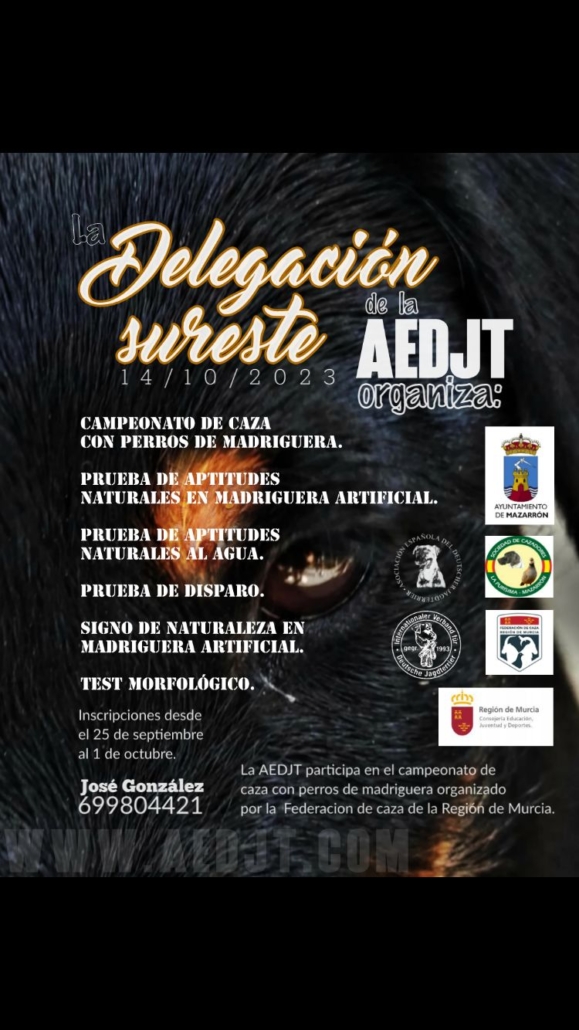 AEDJT Delegación Sureste 141023