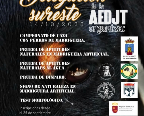 AEDJT Delegación Sureste 141023