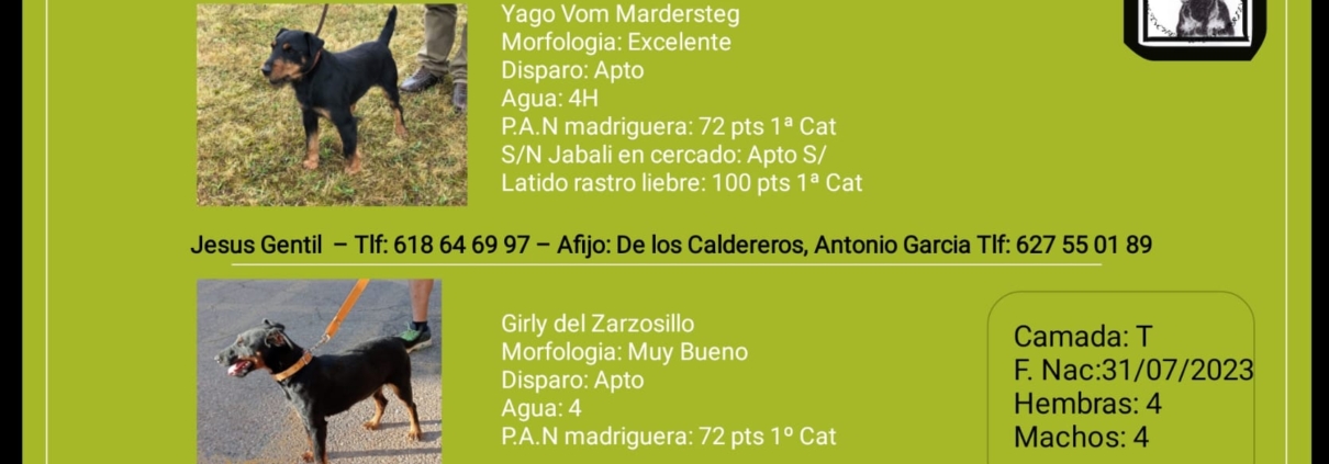 Camada T DE LOS CALDEREROS