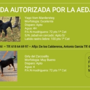 Camada T DE LOS CALDEREROS