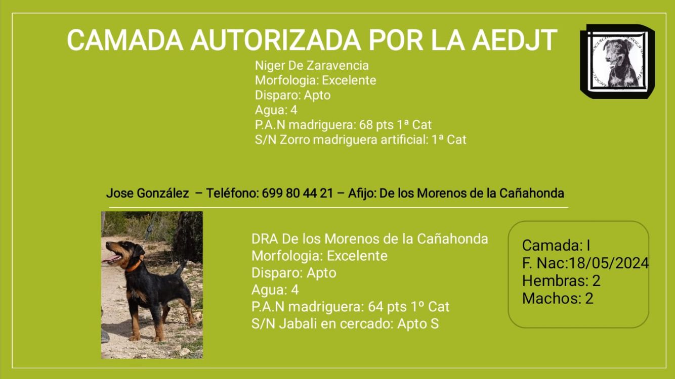 CAMADA I DE LOS MORENOS DE LA CAÑAHONDA